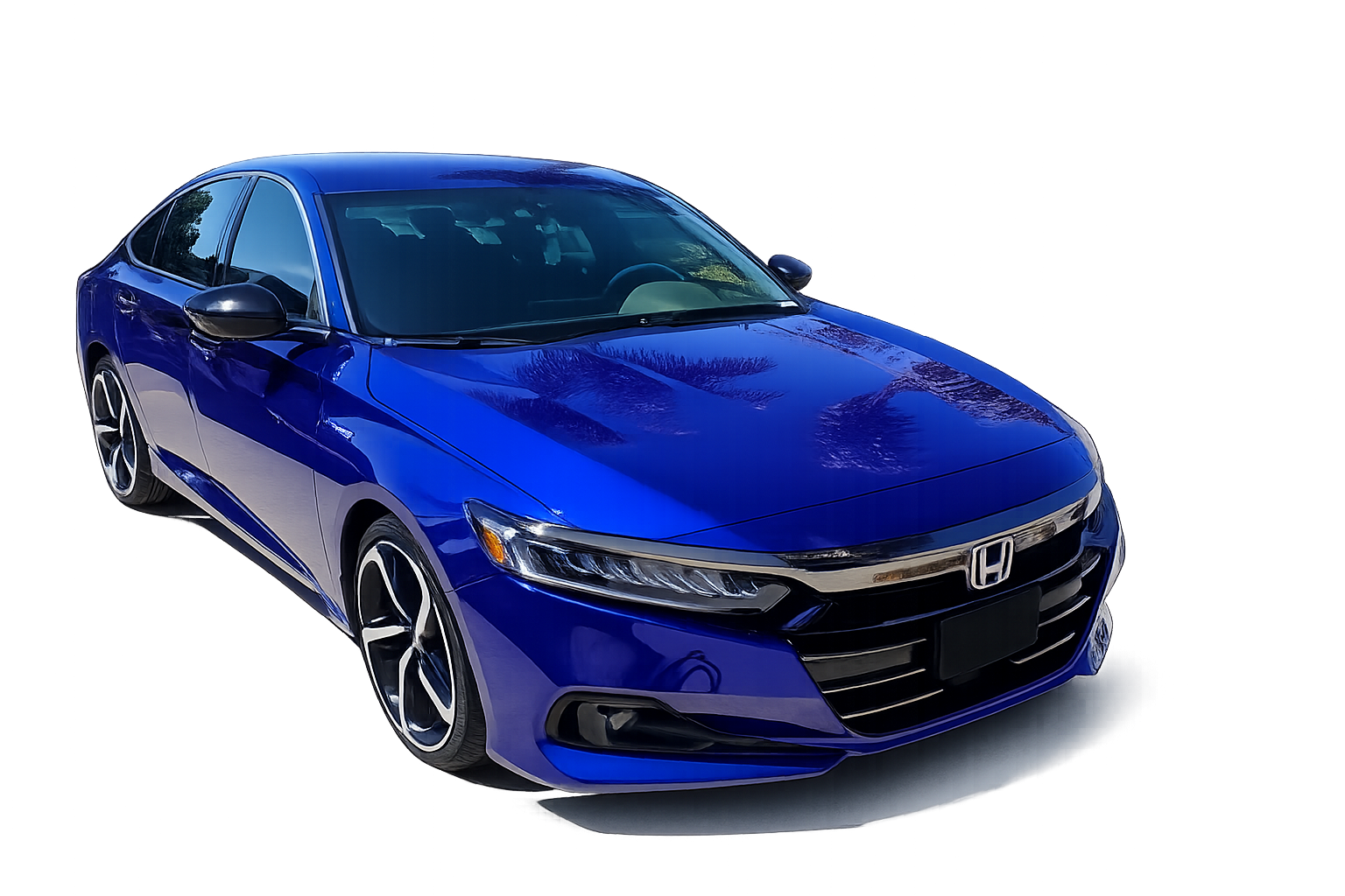 Premium mobile car detailing in San Diego
